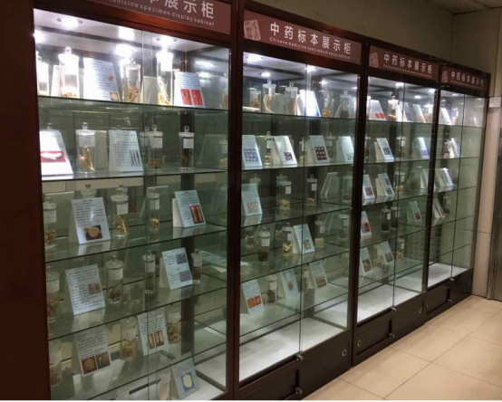 该院药房外专设了中药标本展示柜,展示了常见中药饮片的优劣对比,以